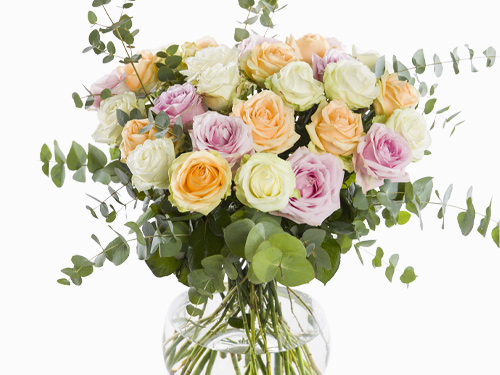 Bos Avalanche rozen pastelmix XL
