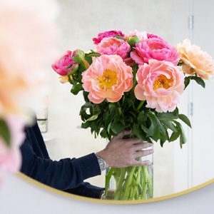 Pioenrozen online bestellen Coral Charm pioenroos