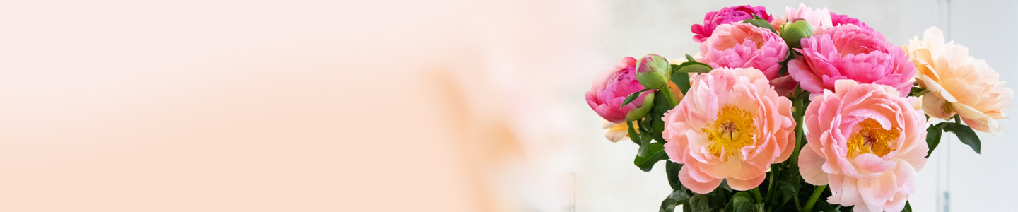 Coral Charm pioenrozen