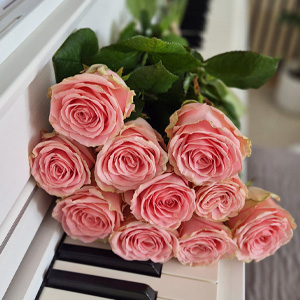 Roze rozen - Sophia Loren Roze rozen - Sophia Loren
