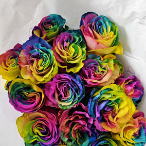 Regenboog rozen bestellen Regenboog rozen bestellen