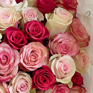 Roze rozenmix