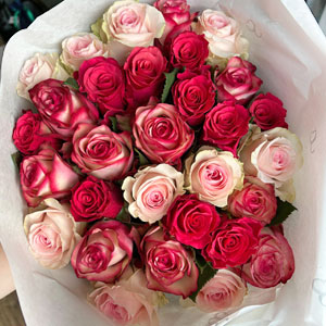 Rozenmix van 30 roze rozen Rozenmix van 30 roze rozen