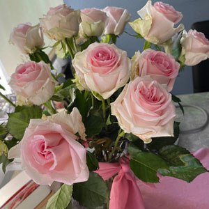 Zachtroze rozen - Sweet Revival Zachtroze rozen - Sweet Revival