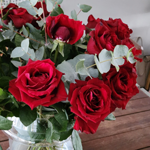 20 rode rozen met eualyptus - EverRed