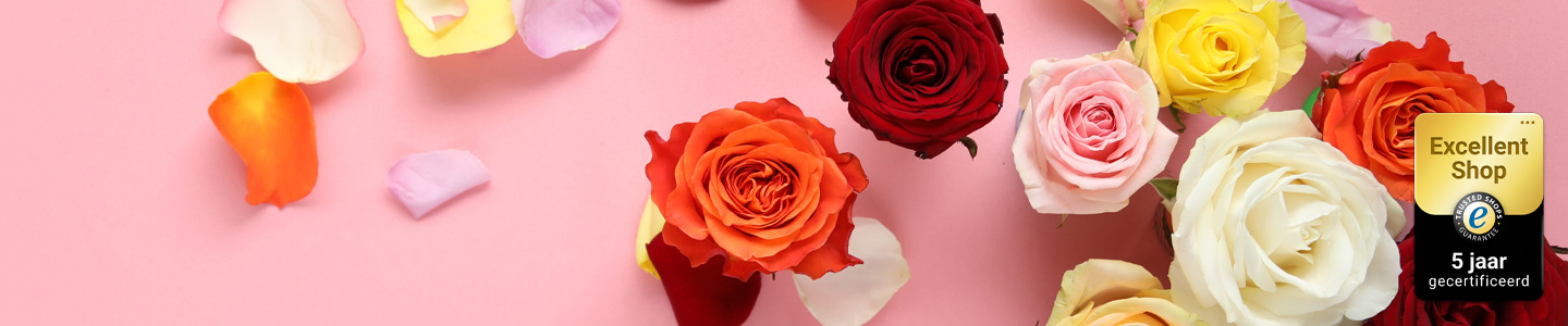 Kleuren rozen Kleuren rozen