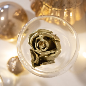 Kerstdecoratie met waxrozen Waxrozen voor Kerst