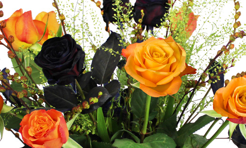 Rozen voor Halloween Blog: Halloween