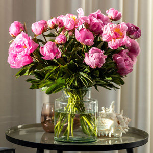20 roze pioenrozen 20 roze pioenrozen