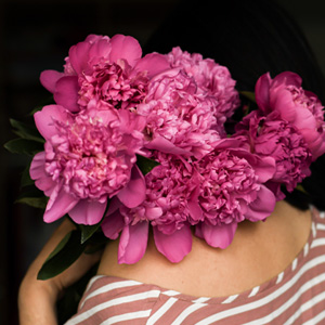 10 roze pioenrozen 10 roze pioenrozen