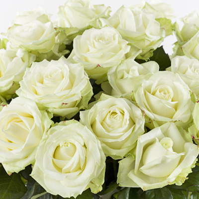 Kies je aantal rozen