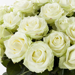 Kies je eigen aantal rozen