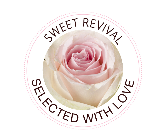 Sweet Revival roos