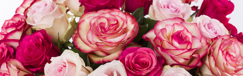 Duurzaamheid van Surprose