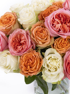 Moonstone met andere rozen