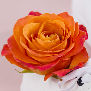 Oranje rozen versturen