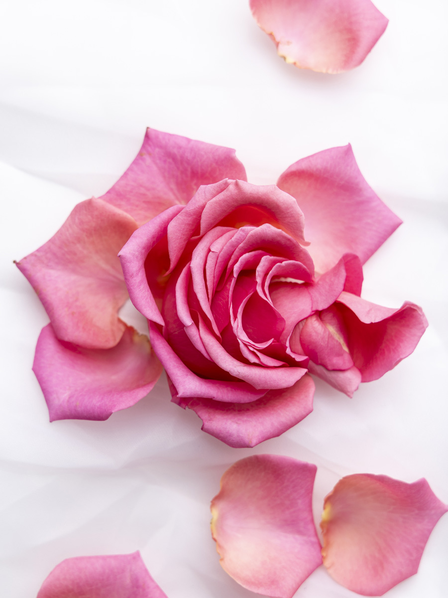 Roze rozenblaadjes bestellen