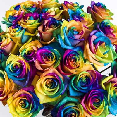 Verstuur regenboog rozen