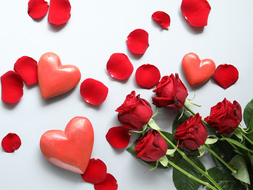 Rode rozen kopen Rode rozen kopen