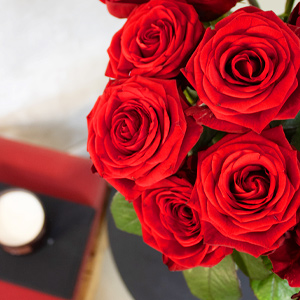 Blog: Red Naomi rozen