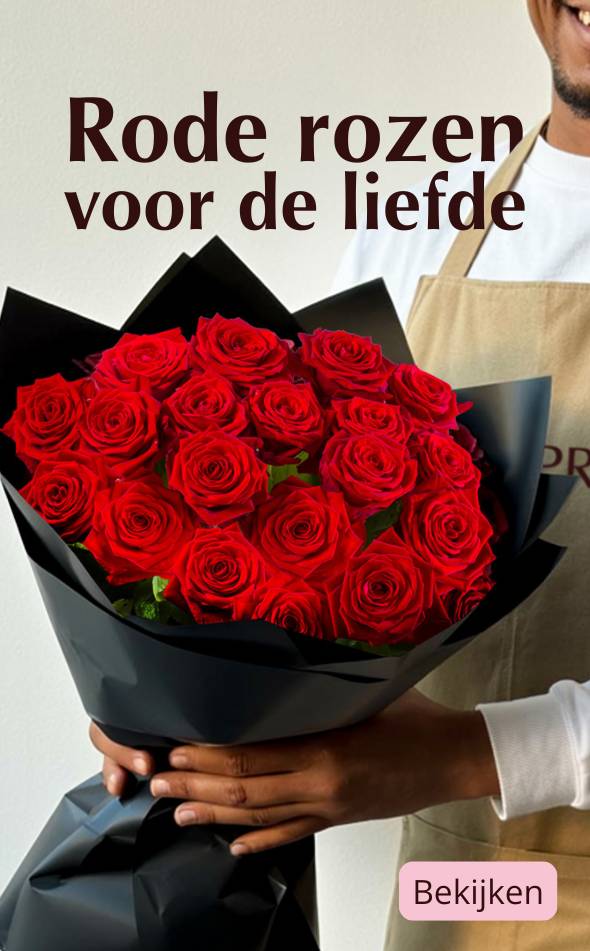 Rode rozen kopen Rode rozen bestellen