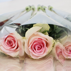 Roze rozen per stuk verpakt Roze rozen per stuk verpakt