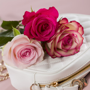 Roze rozen kopen