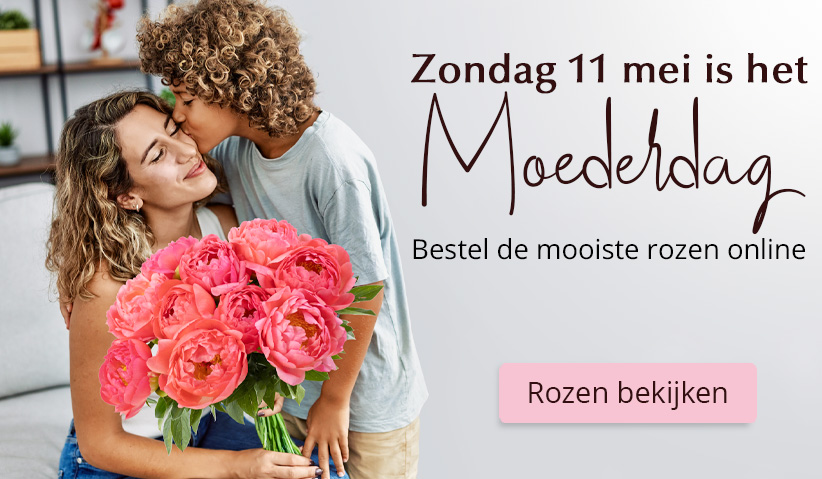 Online rozen bestellen voor Moederdag