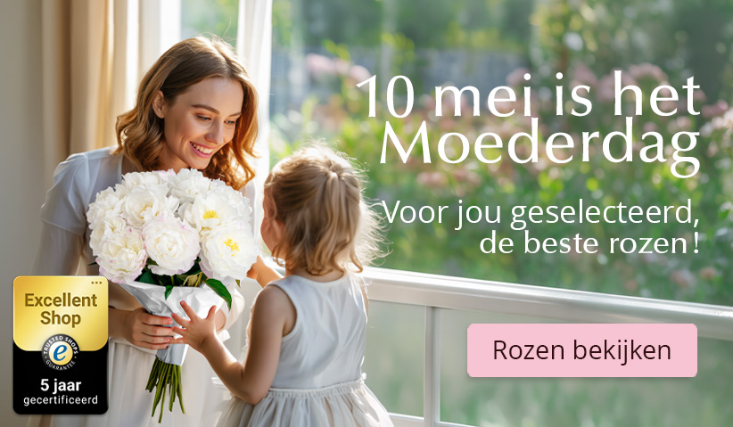Online rozen bestellen voor Moederdag