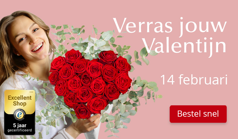 Rozen kopen en versturen voor Valentijnsdag Online rozen bestellen voor Valentijnsdag