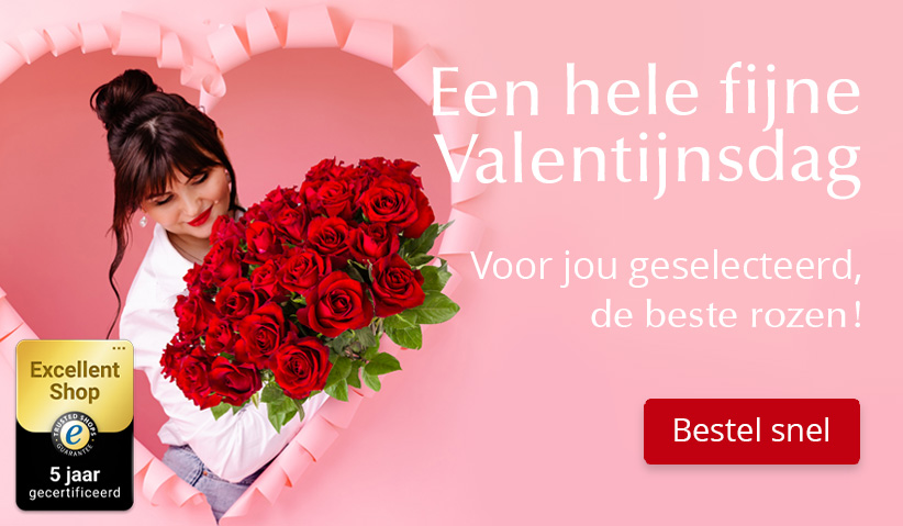 Rozen kopen en versturen Online rozen bestellen