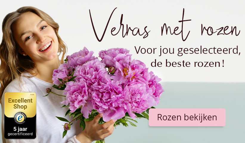 Online rozen bestellen