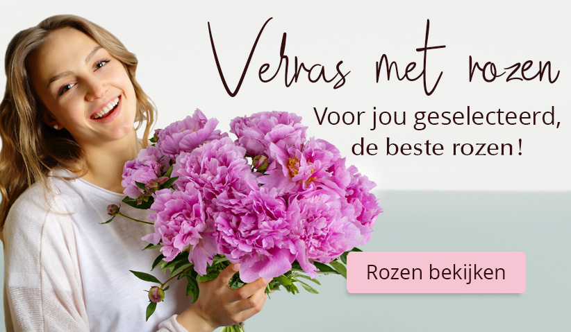 Online rozen bestellen