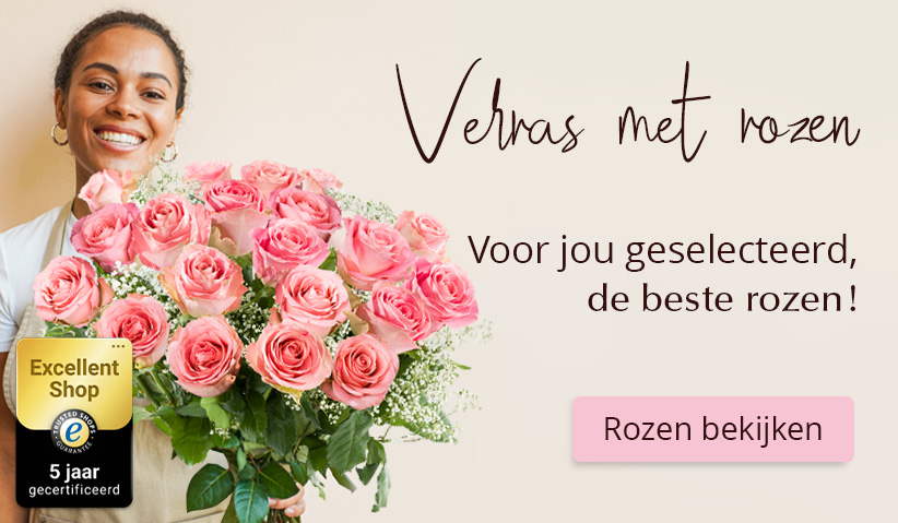 Rozen kopen en versturen Online rozen bestellen
