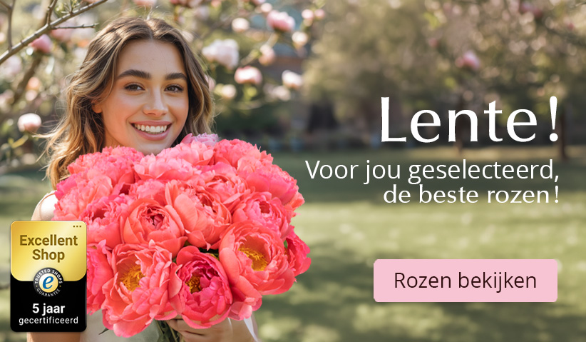 Rozen kopen en versturen Online rozen bestellen
