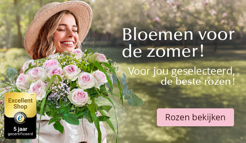 Rozen kopen en versturen Online rozen bestellen