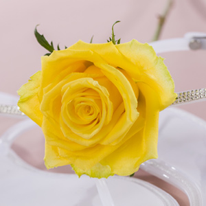 Blog: Lente in huis