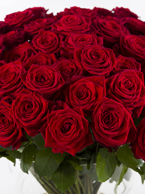 Kies je eigen aantal rozen