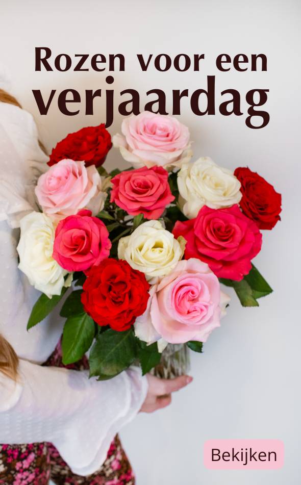 Rozen voor een verjaardag