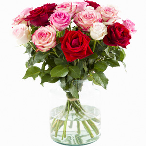 gazon Pardon voorwoord Bos rozen bestellen: Online rozen kopen bij Surprose.nl