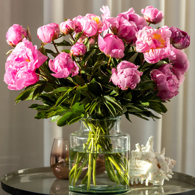 Speciale rozen
