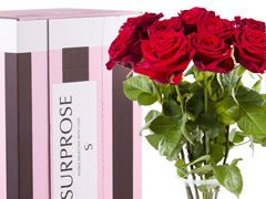 10 rode rozen bestellen