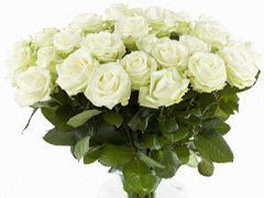 20 witte rozen