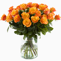 30 oranje rozen