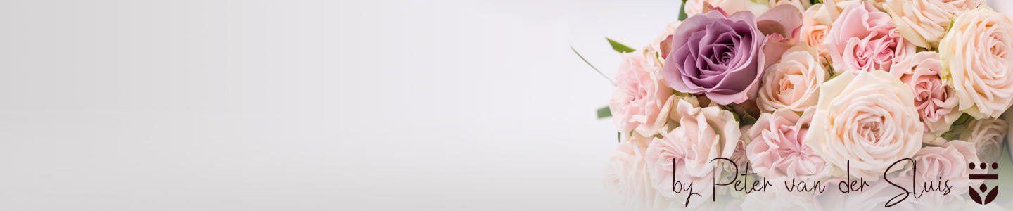 Bruidsbloemen