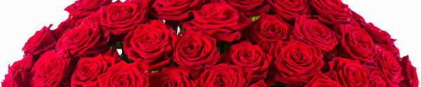 50 rode rozen (Red Naomi)