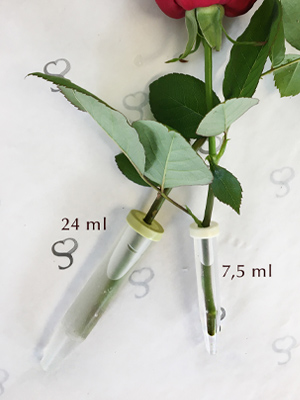 Waterflesjes voor rozen bestellen
