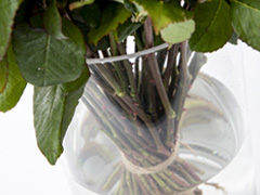 Acrylvaas