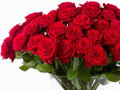 100 rode rozen bezorgen in Almere
