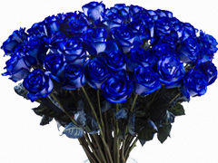 Blauw rozenboeket: hier bestellen